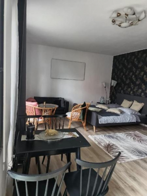 Apartmány Oxota, Jaromer